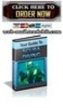 Thumbnail Your Guide To Scuba Diving Thumbnail Your Guide To Scuba Diving