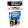 Thumbnail Curing Dog Separation Anxiety