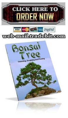 Product picture Bonsai Trees: Growing, Trimming, Pruning, and Sculpting