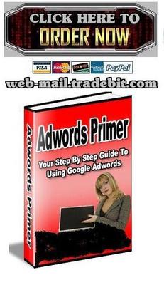 Product picture Adwords Primer