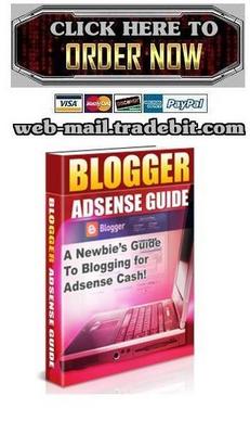 Product picture Blogger Adsense Guide