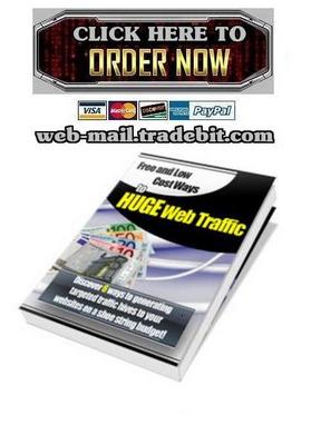 Product picture Free and Low Cost Ways to HUGE Web Traffic