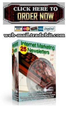 Product picture Internet Marketing Newsletters