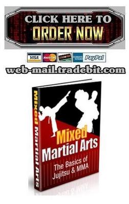 Product picture Understanding Mixed Martial Arts