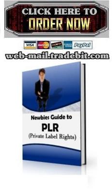 Product picture Newbies Guide to PLR