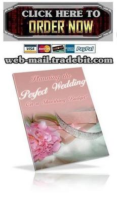 Product picture Planning The Perfect Wedding On A Shoestring Budget