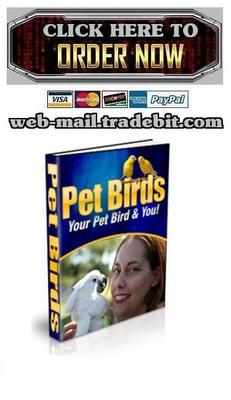 Product picture Pet Birds