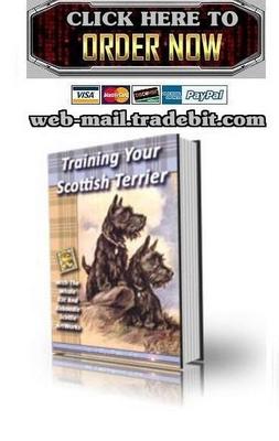 Product picture Training Your Scottish Terrier