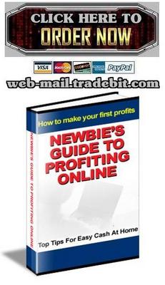 Product picture The Newbies Guide To Profiting Online