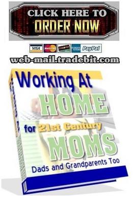 Product picture Working At Home for 21st Century Moms