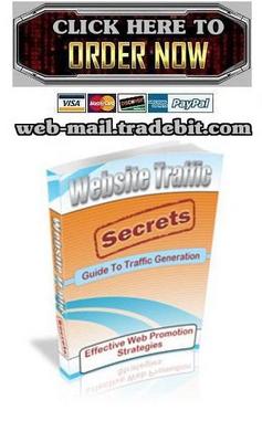 Product picture Website Traffic Secrets