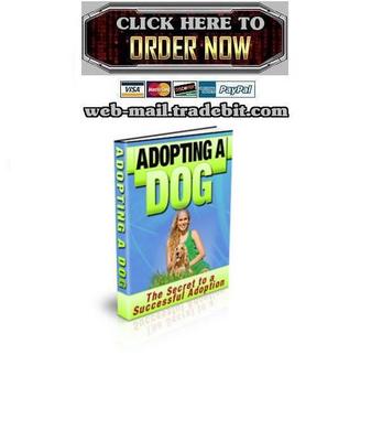Product picture Adopting a Dog