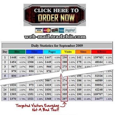 Product picture 5 Minute Article Traffic Plan