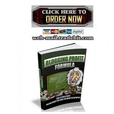 Product picture Blogging Profit Formula