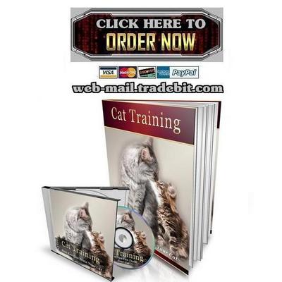 Product picture Cat Training