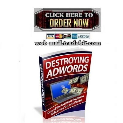 Product picture Destroying Adwords