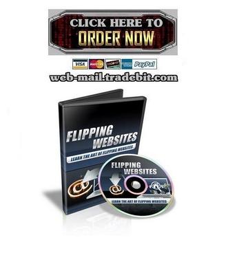 Product picture Flipping Websites