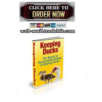 Product picture Keeping Ducks
