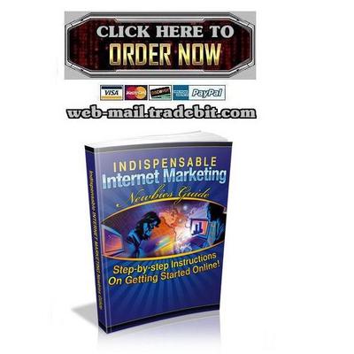 Product picture Indispensable Internet Marketing