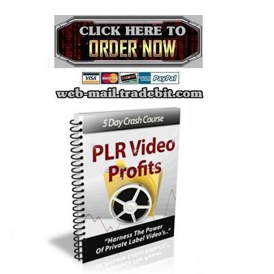 Product picture PLR Video Profits Course