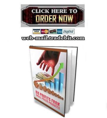 Product picture Big Profits From Small Priced Products