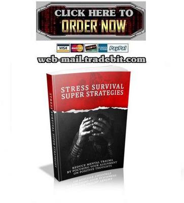 Product picture Stress Survival Super Strategies