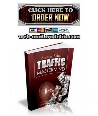 Product picture Traffic Mastermind