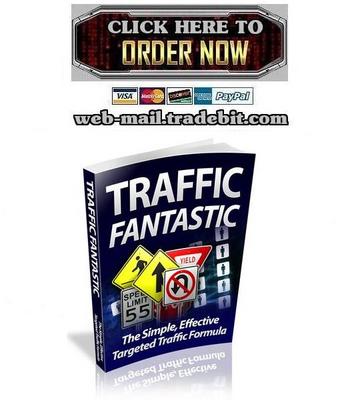 Product picture Traffic Fantastic