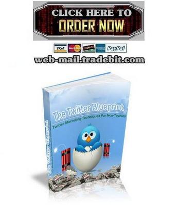 Product picture The Twitter Blueprint