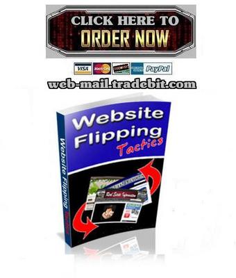 Product picture Website Flipping Tactics
