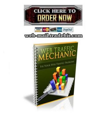 Product picture Web Traffic Mechanic
