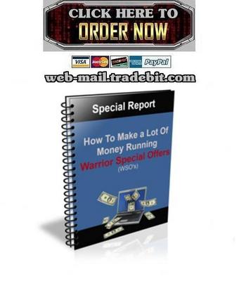 Product picture How to Make a Lot Of Money Running WSOs